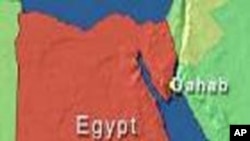 مصر: اخوان المسلمین کے 16 ارکان رہا