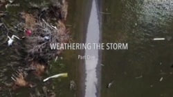 Weathering the Storm - The climate crisis in coastal Louisiana Part 1