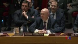 Rûsya Pêşnîyara NY ya Lêpirsîna Çekên Kîmyayî li Sûrîyê Dîsa Veto Kir