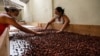 Brazil Cocoa Follows in Footsteps of Famed Wines, Boosting Prices
