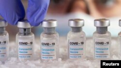 Covid 19 Vaccine.
