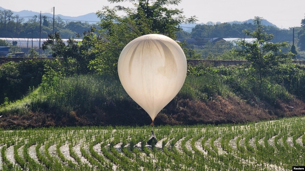 朝鲜向韩国释放了载有各种垃圾物品和宣传品的气球。一个据信是朝鲜释放的气球降落在韩国铁原郡的一片稻田里。（2024年5月29日）(photo:VOA)