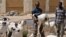 FILE: A sheep vendor is pictured on December 5, 2008 in Dakar ahead of Muslim feast Tabaski (Eid al-Adha). Sheep back then were sold for 70 000 francs CFA (106 euros), a double of a minimum monthly Senegalese salary. Turmoil this year is denting sheep saales.