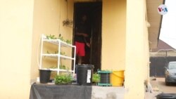 AMBIENTE/SOSTENIBILIDAD: Agricultura aeropónica en auge en Nigeria