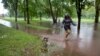 Una mujer pasea a su perro por un sendero inundado por la tormenta tropical Henri en Bushnell Park en Hartford, Connecticut, el domingo 22 de agosto de 2021 (AP Photo / Ted Shaffrey).