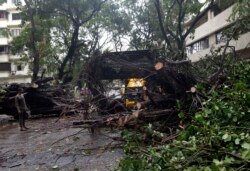 Trees uprooted because of strong winds in Mumbai, India, June 3, 2020. Cyclone Nisarga made landfall south of India's financial capital of Mumbai, with storm surge.
