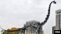 Model kerangka Brachiosaurus yang dipasang di depan museum sejarah nasional di kota Chicago.