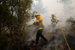 Firefighters chop trees and mop down hot spots caused by the CZU August Lightning Complex Fire in Bonny Doon, Calif., Aug. 20, 2020.