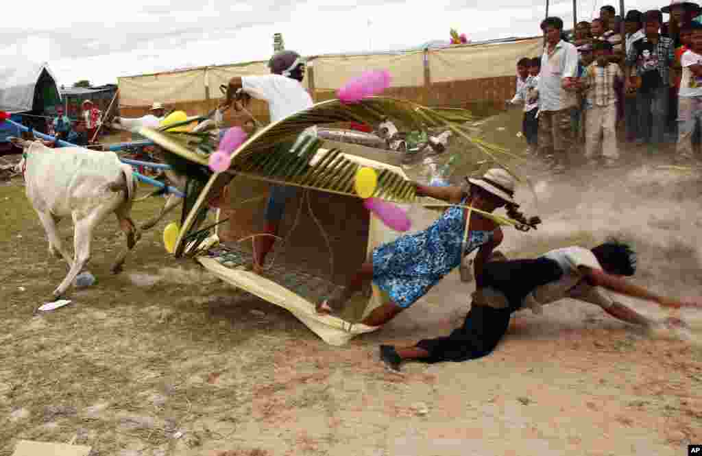 Local villagers fall onto the ground from an oxen cart as they take part in a ceremony to exorcize evil spirits and pray for rain amid the rice planting season at Pring Ka-ek village, about 20 kilometers (12.5 miles) northwest of Phnom Penh, Cambodia.