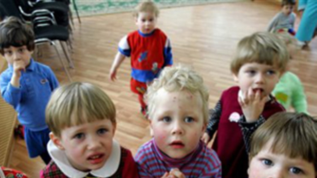 kichik kokrakli onalar