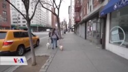 Gelo Bandora Vîrusa Korona li Ser Ajalan Heye?