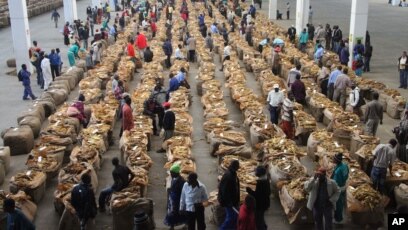 tobacco auction floors zimbabwe Africa Tobacco Growers Fight Anti-Smoking Initiative