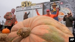 Travis Gienger, de Anoka, Minnesota, (con las manos levantadas) celebra su triunfo en el Campeonato Mundial Safeway de Calabazas Gigantes, el lunes 14 de octubre de 2024, en Half Moon Bay, California. 