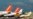 EasyJet Hit by Cyber Attack, Hackers Access 9 mln Customers' Details