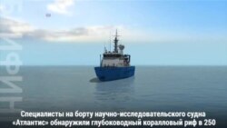 Исследователи океана обнаружили глубоководный коралловый риф протяженностью около 140 км