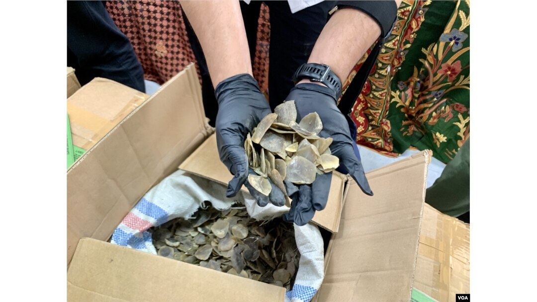 Telefon orqali Alekseevskaya metro bekatidagi fohishalar Rus dost bilan katta dick sikiklari xotinim