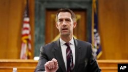 FILE - Sen. Tom Cotton, R-Ark., speaks during a Senate Intelligence Committee nomination hearing for Rep. John Ratcliffe, R-Texas, on Capitol Hill in Washington, May 5, 2020.