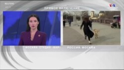 Ուղիղ եթերի ժամանակ շունը գողացել է MIR TV-ի լրագրողի խոսափողն ու փախել