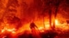 Seorang petugas pemadam kebakaran hutan berusaha memadamkan api kebakaran lahan di Creek Fire, di Madera County, California.