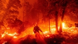 Plus de 8000 km2 incendiés en Californie, un record depuis 1987