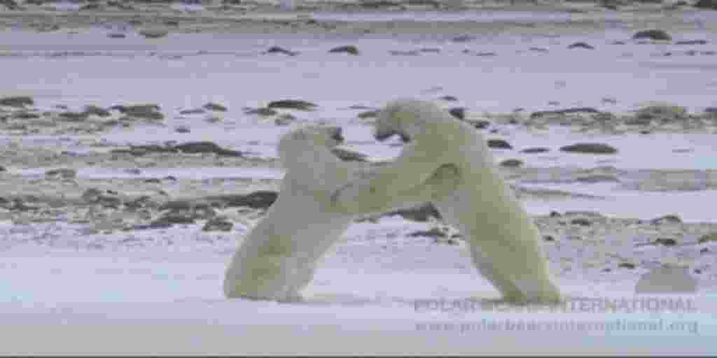 جمعه بیست و یکم ژانویه - هفته ای که گذشت به روایت تصویر