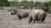 Kenya Applies Farm Technology to Fight Wildlife Poaching 