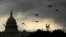 Birds fly past the U.S. Capitol as the sun rises in Washington, D.C., Sept. 9, 2013. 
