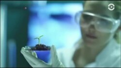 Настоящее Время. Америка – 25 октября 2017