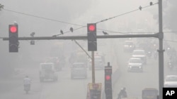 Seekor merpati bertengger di atas tiang lampu lalu lintas yang diselimuti kabut asap tebal di New Delhi, India, Kamis, 14 November 2024. (Foto: Manish Swarup/AP)