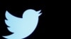 Twitter Deletes Egypt, Saudi Accounts Over 'Pro-Govt Direction'