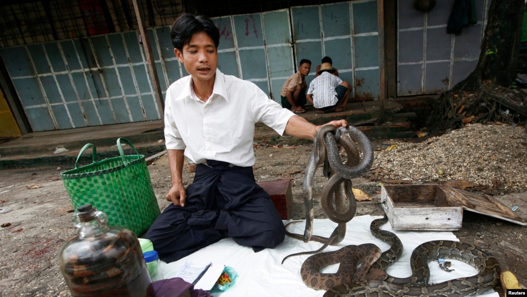 Seorang penjual minyak ular sedang menunggu pelanggan (foto: ilustrasi). 