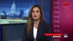 افزایش پنج برابری تولید تریاک در افغانستان؛ هشدار سازمان ملل از بازگشت کشت خشخاش با وجود ممنوعیت طالبان  