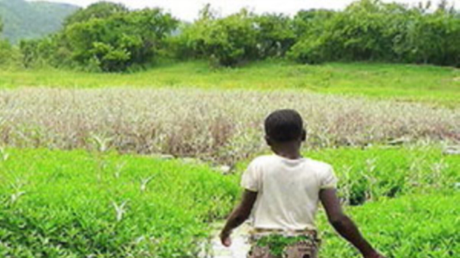 Using Ingenuity to Combat Global Water Crisis