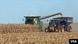 It is the first day of the harvest for Illinois farmer Jared Kunkle and he wasn’t sure he’d reach while planting corn and soybeans earlier this year.