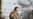 China Urges Dialogue to Resolve Korea Tensions