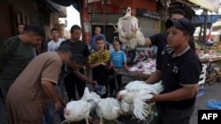 FILE - A Palestinian butcher sells chickens, due to lack of electricity to butcher them, at the Rafah refugee camp, in the southern of Gaza Strip on Octobers 15, 2023.