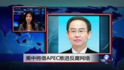 VOA连线：美中将借APEC推进反腐网络