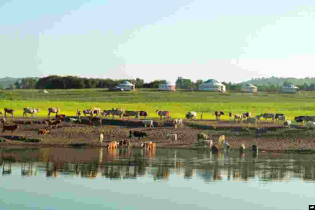 内蒙古锡林郭勒大草原
