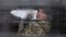 A detained Ukrainian serviceman and crew member of one of Ukrainian naval ships recently seized by Russia's FSB security service looks out of a minibus window outside a court building in Simferopol, Crimea, Nov. 28, 2018.