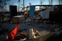 Porcelain figurines of a cat and dog that were recovered from a home stand with other valuables on a property destroyed by Hurricane Dorian in Rocky Creek East End, Grand Bahama, Bahamas, Sept. 8, 2019.