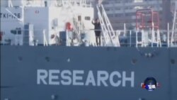 日本恢复科研捕鲸 引起国际愤怒