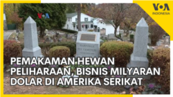 Pemakaman Hewan Peliharaan, Bisnis Milyaran Dolar di Amerika Serikat