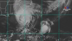 Թրամփը Ֆլորիդան հայտարարել է աղետի գոտի