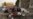 16x9 Image