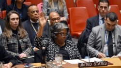 Duta Besar AS untuk PBB Linda Thomas-Greenfield memberikan suara untuk memveto usulan gencatan senjata di Gaza oleh Aljazair pad sidang Dewan Keamanan PBB di Markas Besar PBB di New York City, Selasa 20 Februari 2024.