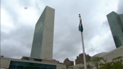 The Flag Of Palestine Flies High At UN Headquarters