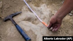 In this October 2020 photo provided by Alberto Labrador, a researcher measures a 120 million year-old fossilized dinosaur footprint the in the La Rioja region in northern Spain, while doing research about dinosaur running speeds. (Alberto Labrador via AP)