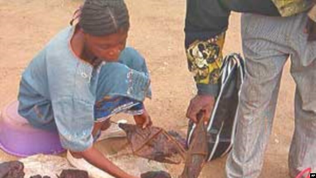Vendor sells bats and other bush meat in market outside Yaounde, Cameroon