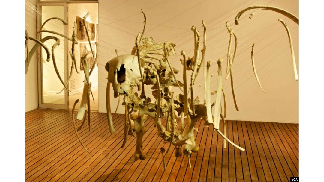 Life and Death Drive ‘Magic’ of South African artist Bronwyn Lace
