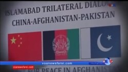 اخبار شامگاهی